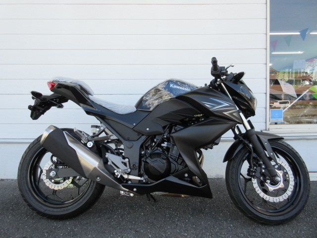 信憑-ワサキ ER250C-0•0•51～ Z250 '14 (検 Nin - egadgets.co.za