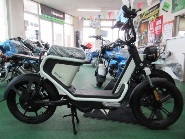 PLOT　PEV600
