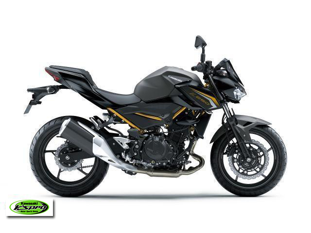 カワサキ　Z250